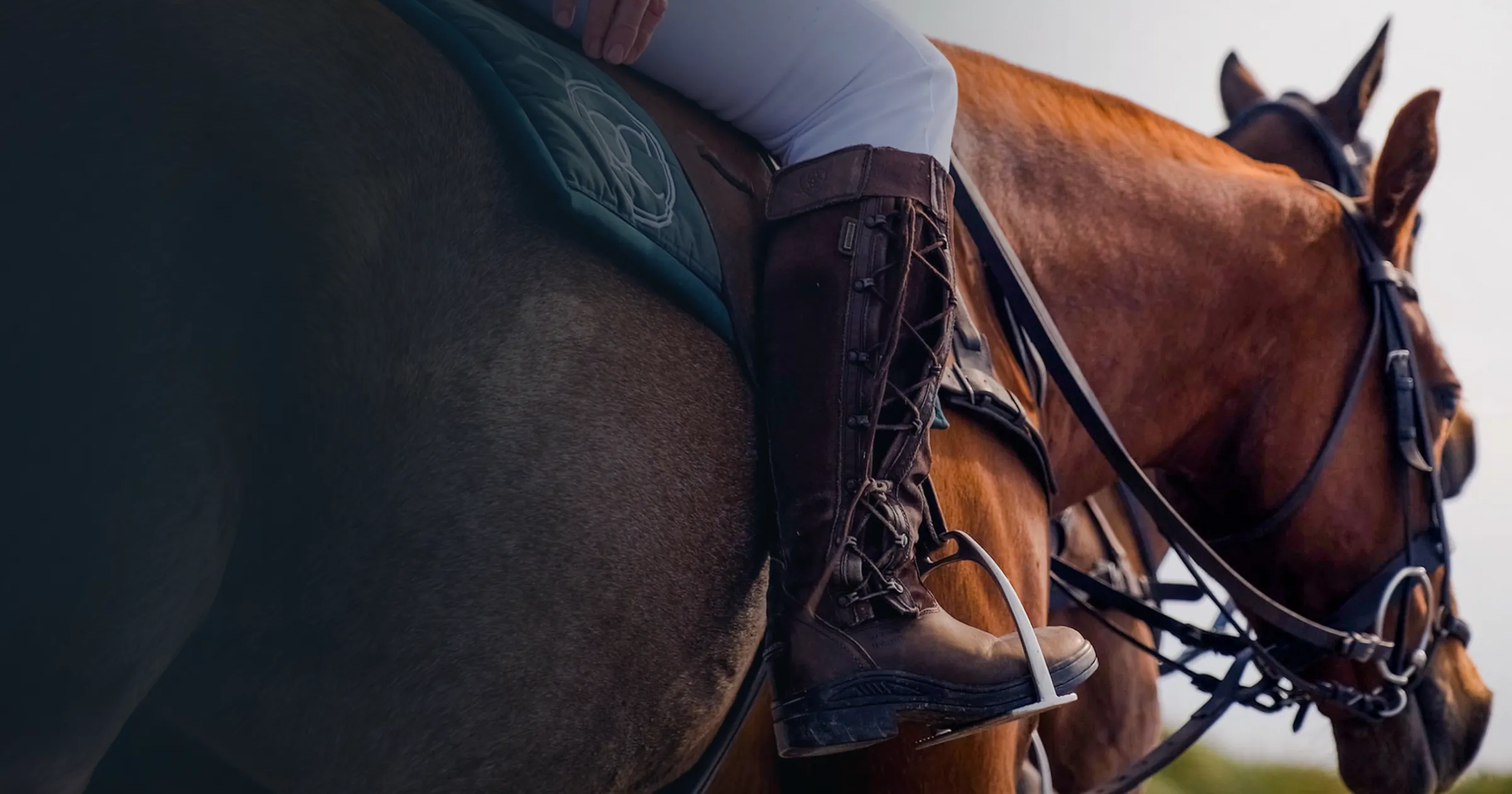 Close-up of an equestrian rider in brown boots and white pants on a tan horse with a green saddle. The scene conveys focus and readiness.